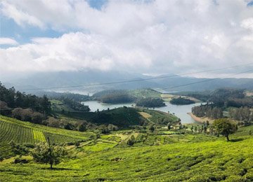 Best Ooty Tour Packages | Ooty Holiday Packages | Ooty Honeymoon Packages | Ooty Holiday Planner | Ooty Local Tour Packages | Ooty holiday planner | Best Ooty Travels | Best Ooty Travels Taxi Service | Taxi Services in Ooty | Best Tours and Travels in Ooty | Ooty cabs | Best Ooty tour packages | Ooty Best Taxi | Ooty Taxi Services | Ooty Travels | Travel Agency Near me | Travels in Ooty| Travel Agency in Ooty | Day Wise Tour Packages | Taxi Booking in Ooty | Cab Rentals in Ooty | Local Sightseeing Tours in Ooty | Sightseeing in Ooty | Travel Packages in Ooty | Ooty Car Rental | Taxi Booking in Ooty | Tour Packages in Ooty | Ooty Tour Packages |Honeymoon Packages in Ooty | Trip Planner Ooty | Best Travel Agency in Ooty | Ooty Travels Booking | Family Tour Packages | Adventure Tour Packages | Masinagudi Tour Packages | Jeep Safari | Budget Tour Packages in Ooty | Luxury Tour Packages | Holiday Packages in Ooty | Local Sightseeing Packages in Ooty | Tour Operators in Ooty | Travel Agents in Ooty | Ooty Tour Packages from Bangalore | Cab Rentals in Ooty | Cab Booking in Ooty | Local Sightseeing by Car in Ooty | Taxi Rentals in Ooty | Ooty Taxi Packages | Cheapest Cab Service in Ooty | Best Cab Service in Ooty | Ooty Sightseeing Cab Price | Ooty Local Sightseeing Packages by Car | Ooty Taxi Service | Taxi Service Ooty | Travels in Ooty | Room Booking in Ooty | Hotel Booking in Ooty | Outstation Trips | Ooty to Coimbatore Trips | Local Ooty Trips | Ooty to Bangalore taxi booking | Ooty airport taxi booking | Ooty local taxi booking | Ooty outstation taxi booking